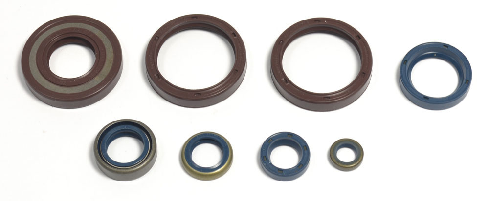 Set dihtunga za ulje za motor ATHENA P400220400252