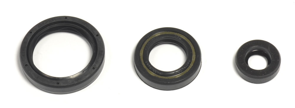 Set dihtunga za ulje za motor ATHENA P400220400263