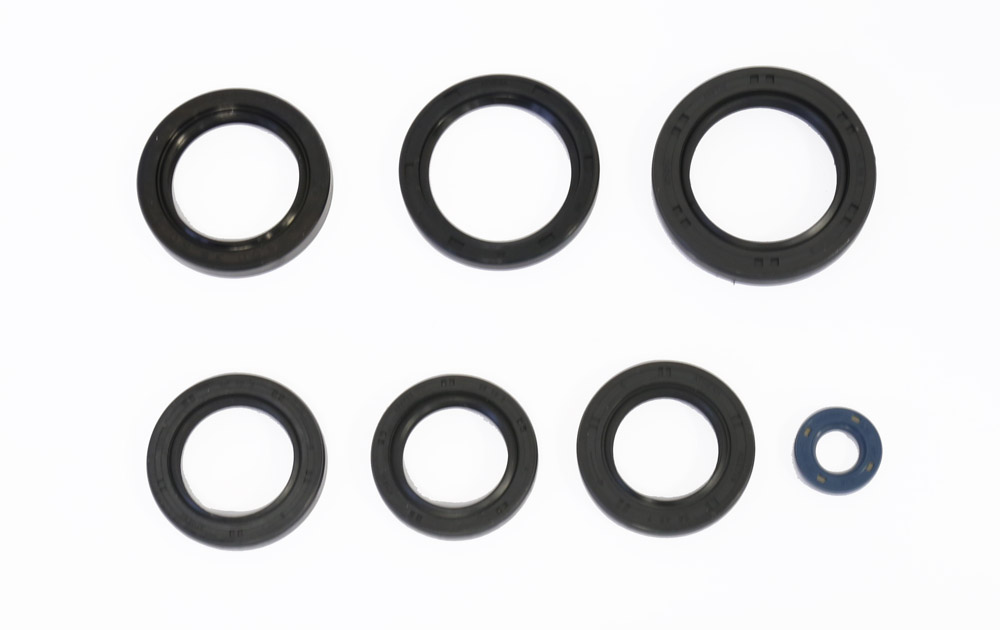 Set dihtunga za ulje za motor ATHENA P400250400018