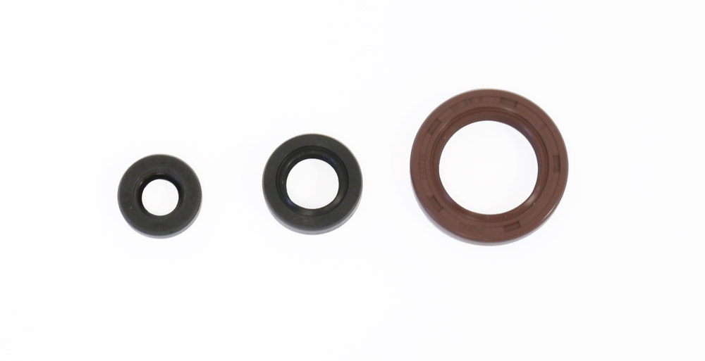 Set dihtunga za ulje za motor ATHENA P400250400036