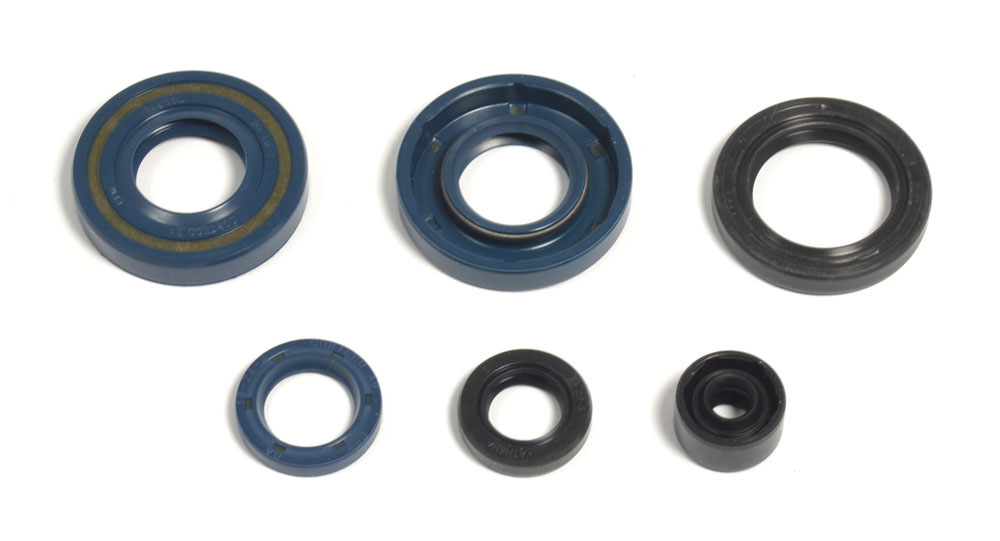 Set dihtunga za ulje za motor ATHENA P400250400061