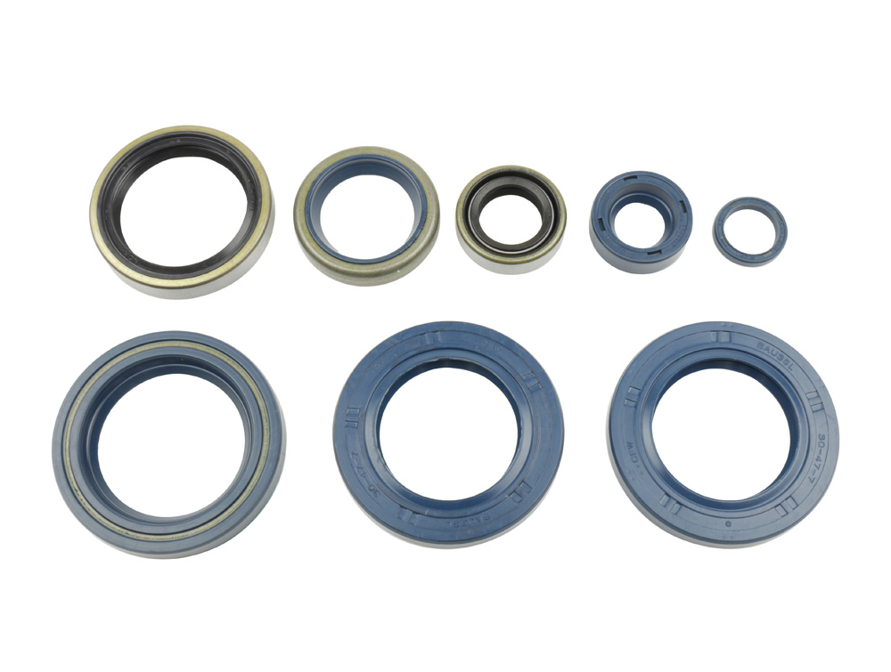 Set dihtunga za ulje za motor ATHENA P400270400006
