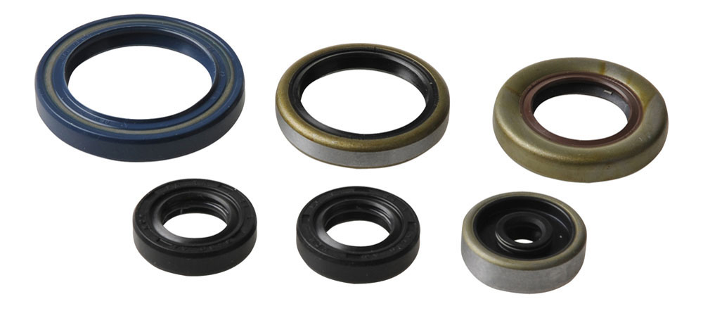 Set dihtunga za ulje za motor ATHENA P400270400013