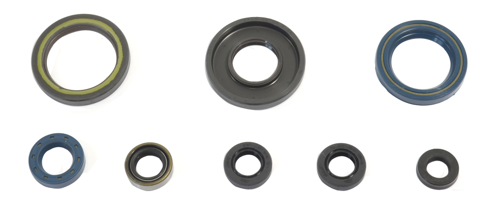 Set dihtunga za ulje za motor ATHENA P400270400033
