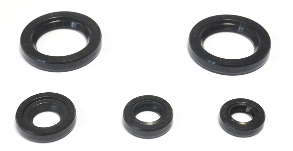 Set dihtunga za ulje za motor ATHENA P400270400060