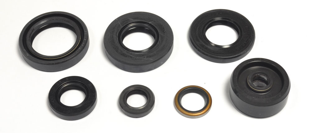Set dihtunga za ulje za motor ATHENA P400485400087