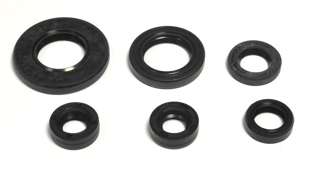 Set dihtunga za ulje za motor ATHENA P400485400157