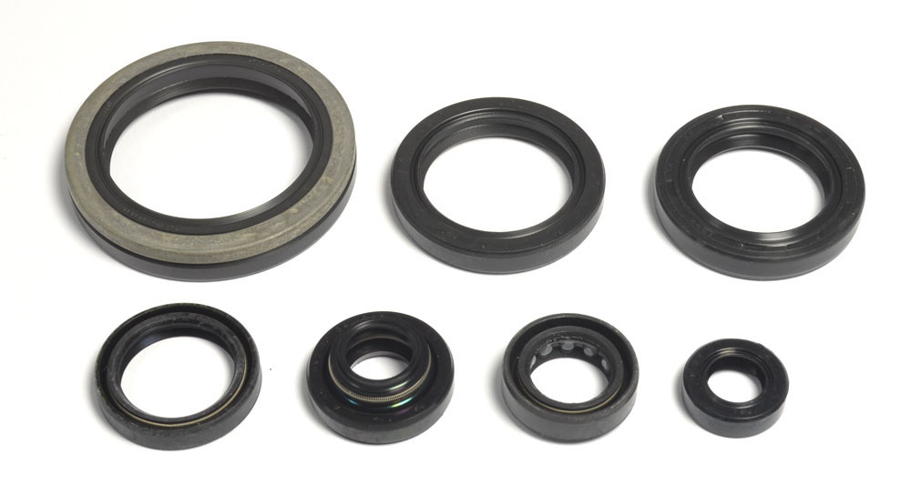 Set dihtunga za ulje za motor ATHENA P400510400032