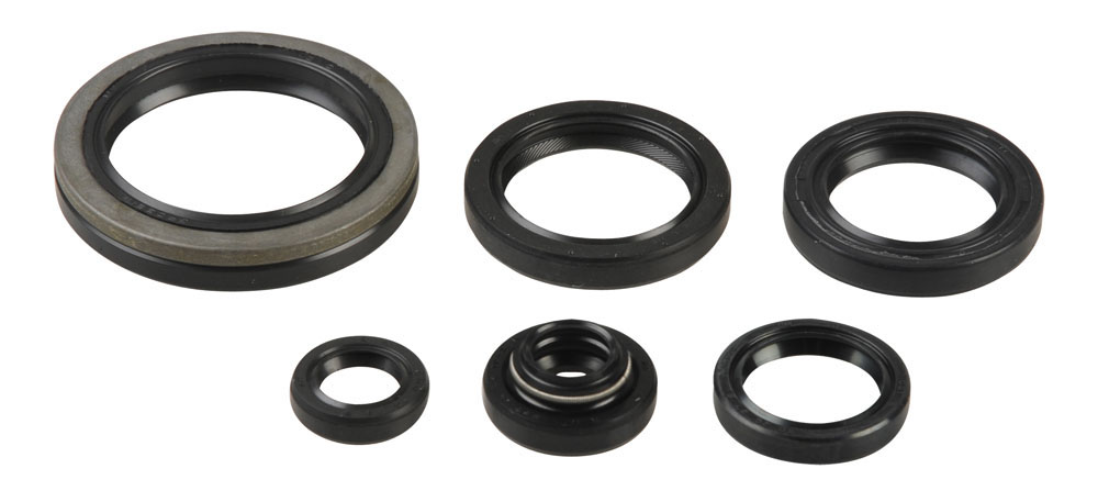 Set dihtunga za ulje za motor ATHENA P400510400241