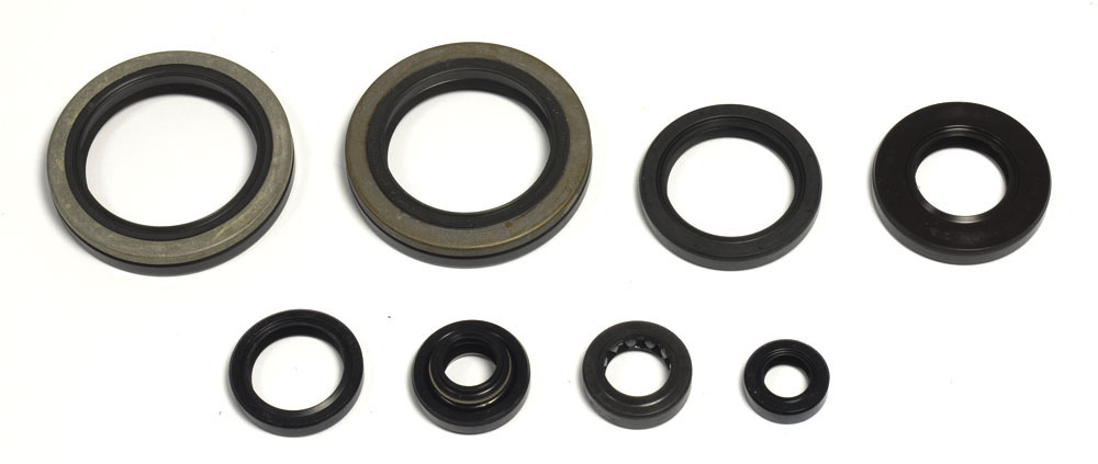 Set dihtunga za ulje za motor ATHENA P400510400252