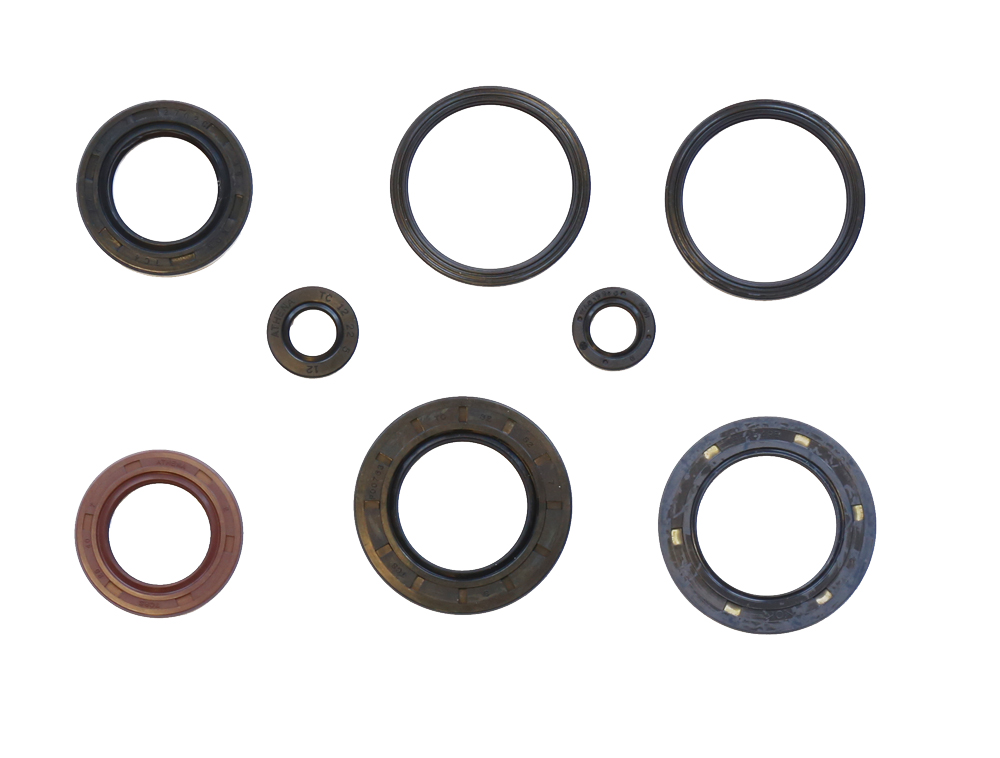 Set dihtunga za ulje za motor ATHENA P400550400008