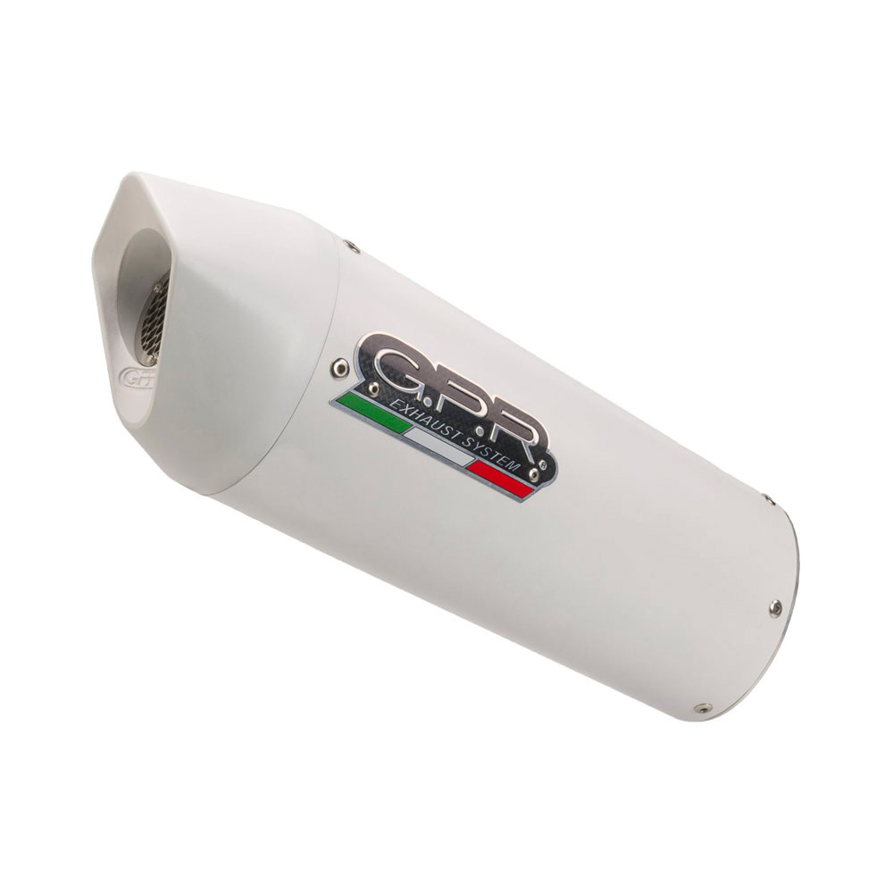 Slip-on exhaust GPR ALBUS BMW.77.ALB White glossy