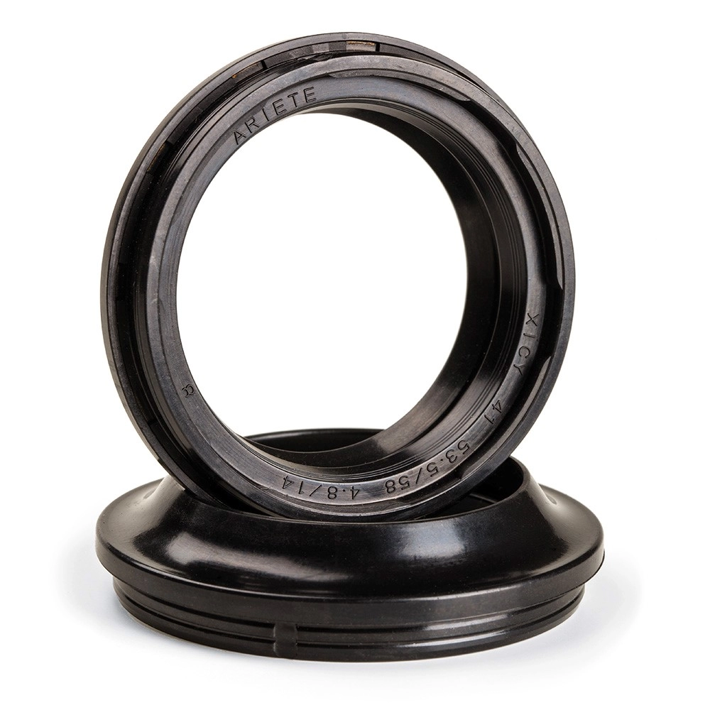 Dust seals ARIETE ARI.187 (pair) 45 X 54,5 X 6/15 Y-2 cap