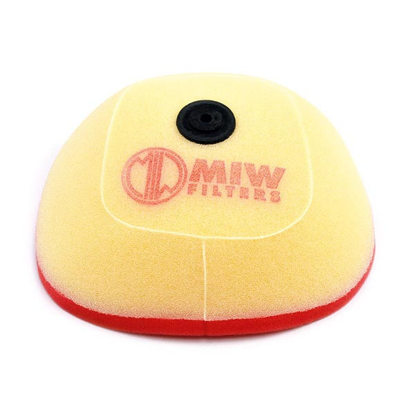Air Filter MIW BT13101