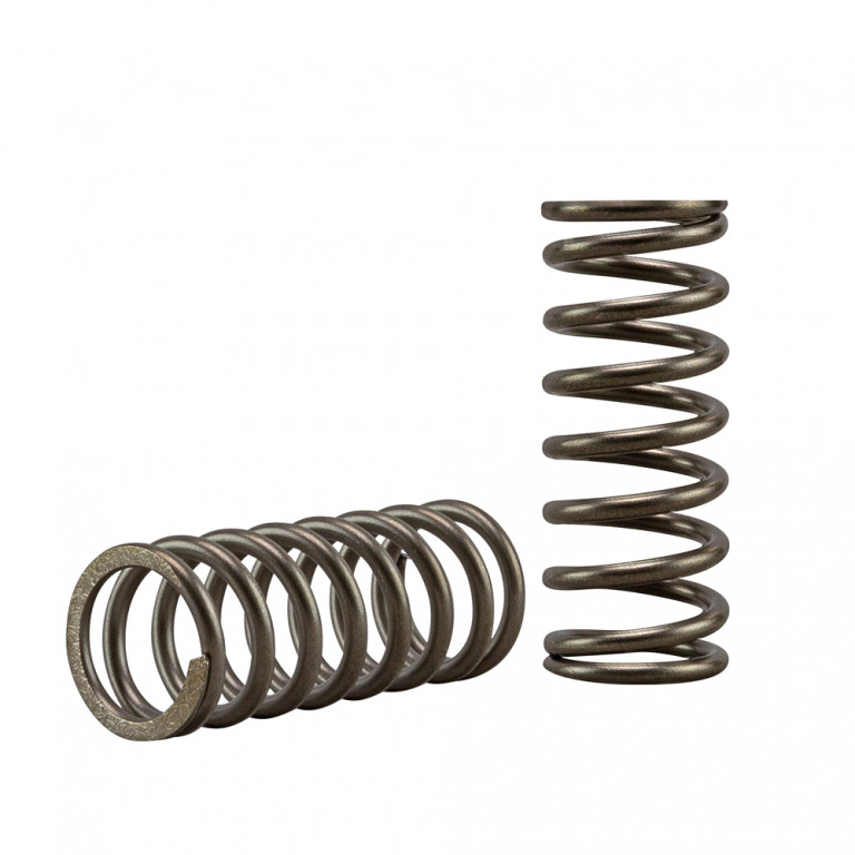 Clutch spring kit EBC CSK184 6