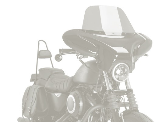 Windshield CUSTOMACCES BATWING EH0009W clear