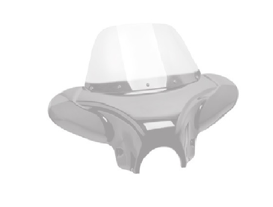 Windshield CUSTOMACCES BATWING EH0011W clear