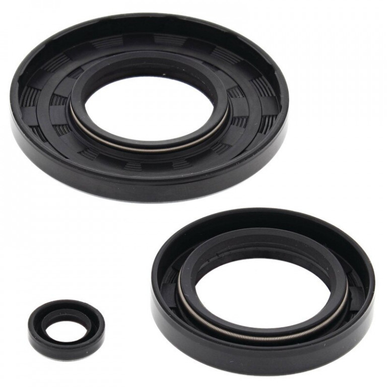 Engine Oil Seal Kit WINDEROSA 55102