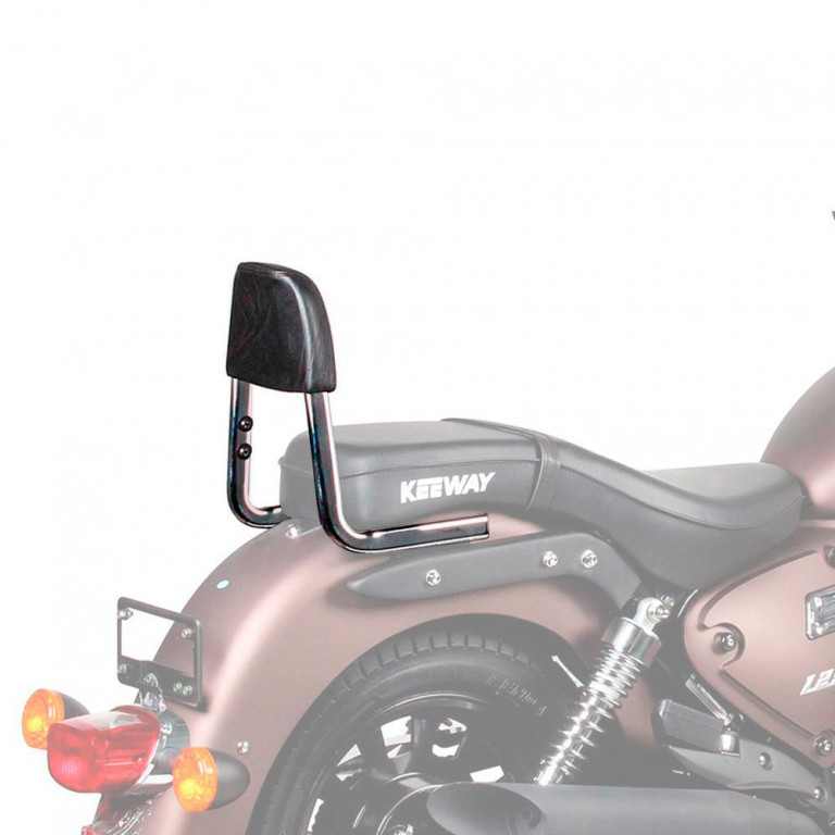 Backrest SHAD K0SP11SN Sissy Bar