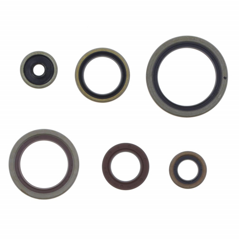 Set dihtunga za ulje za motor ATHENA P400060400011