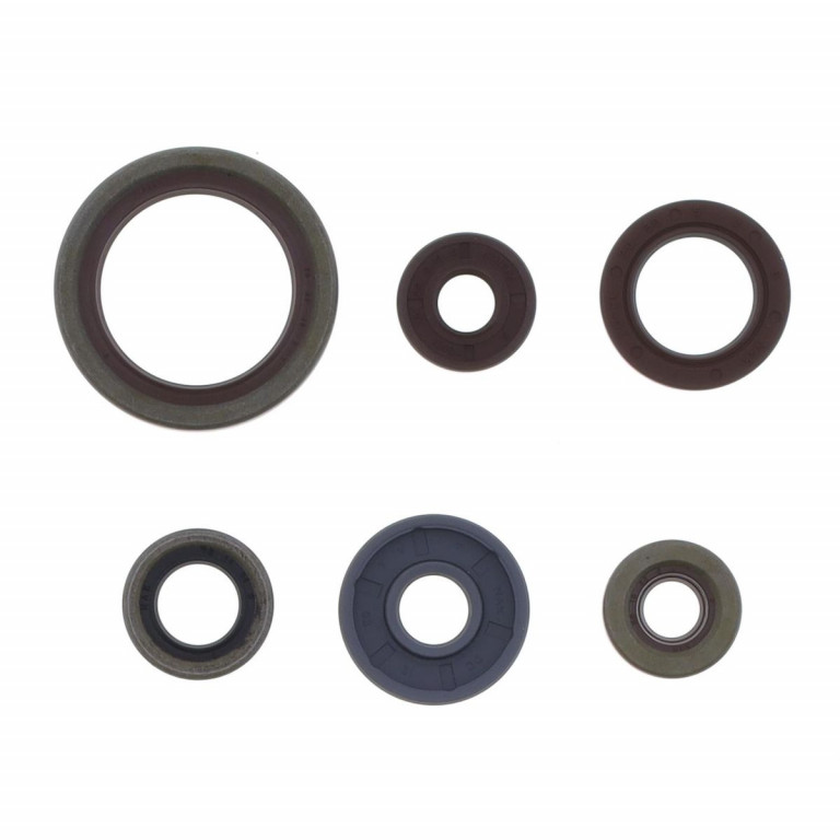 Set dihtunga za ulje za motor ATHENA P400060400012