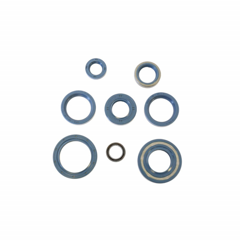 Set dihtunga za ulje za motor ATHENA P400090400130