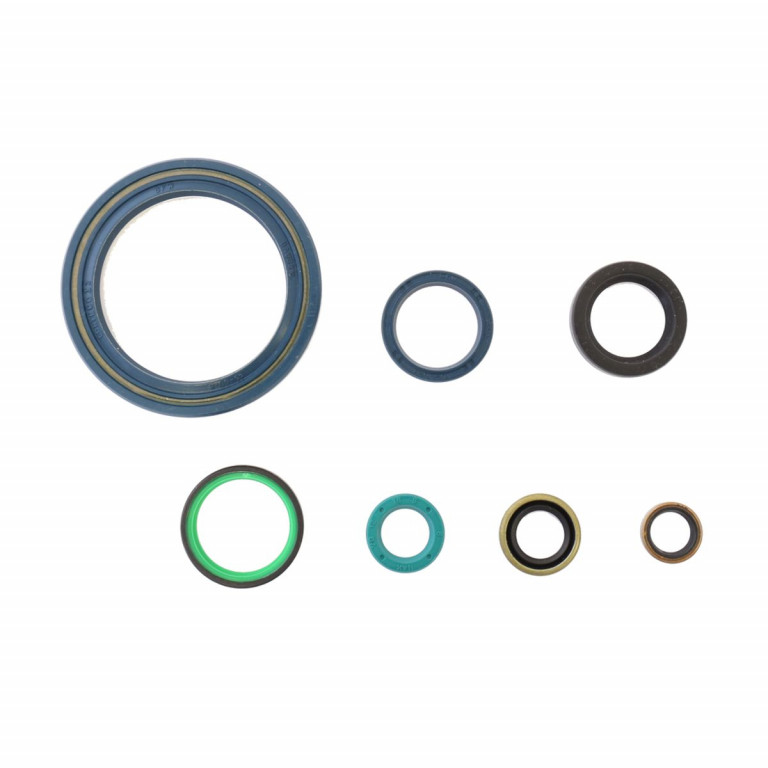 Set dihtunga za ulje za motor ATHENA P400110400900