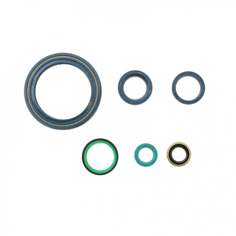 Set dihtunga za ulje za motor ATHENA P400110400910
