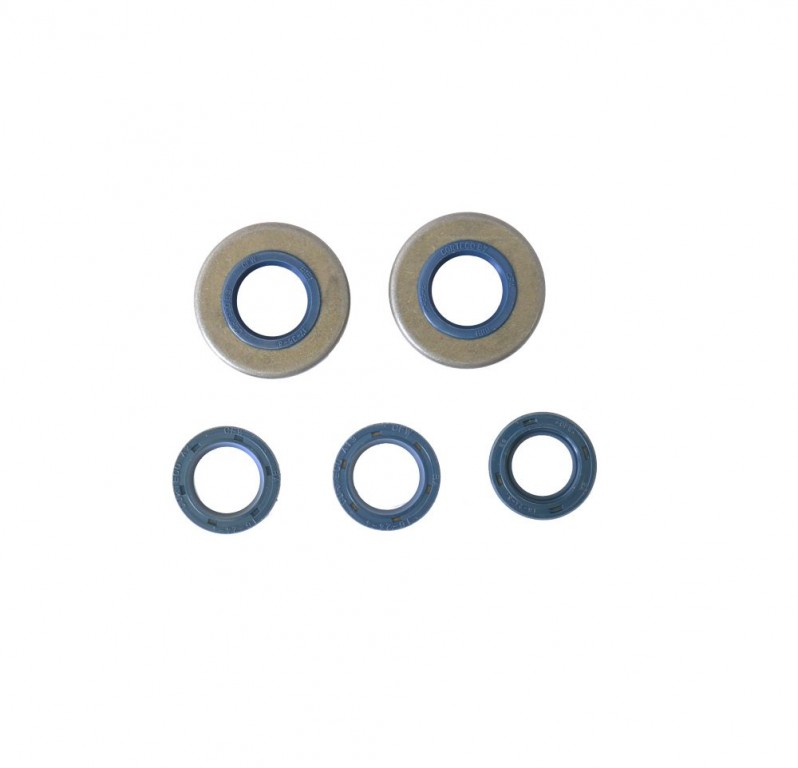 Set dihtunga za ulje za motor ATHENA P400150400060