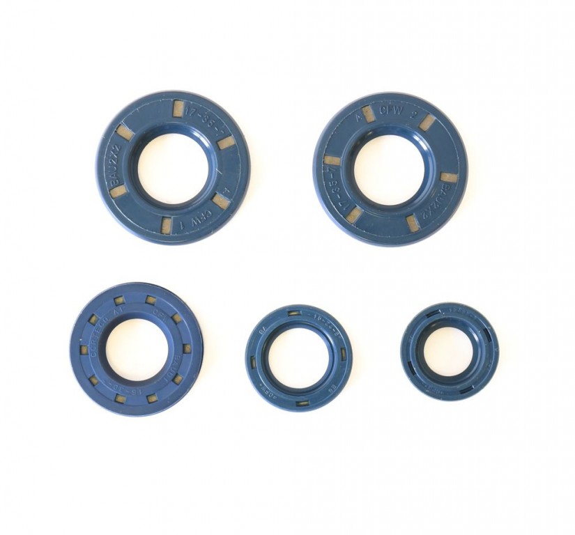 Set dihtunga za ulje za motor ATHENA P400150400160