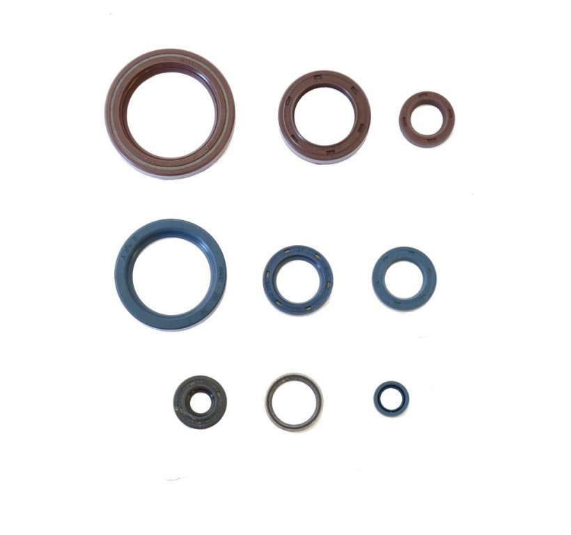 Set dihtunga za ulje za motor ATHENA P400170400330