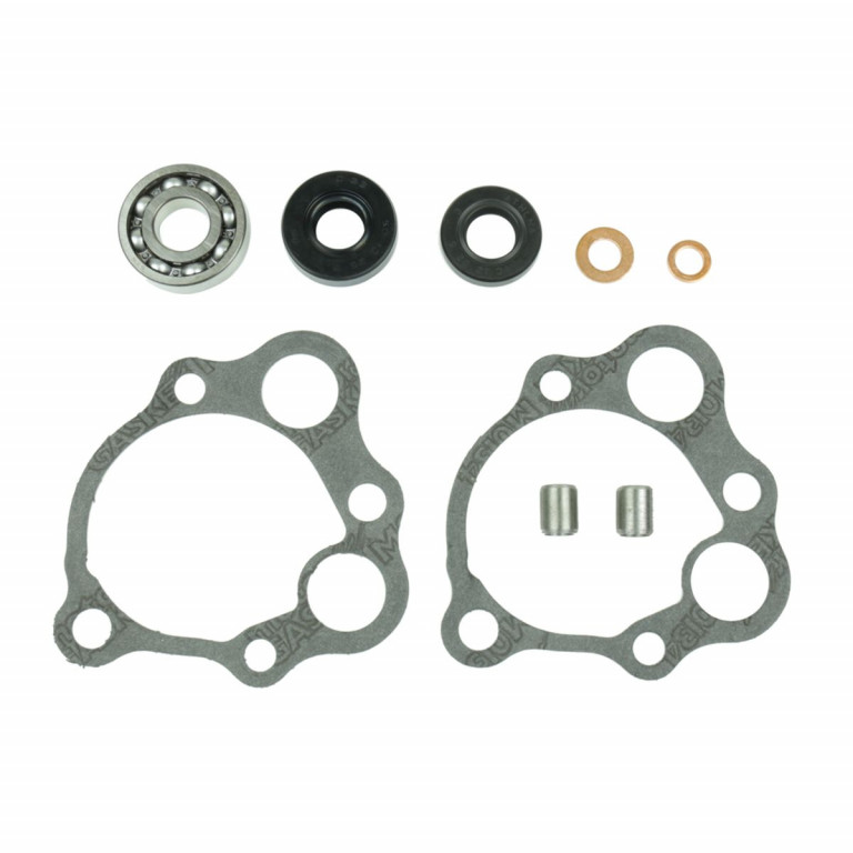 Set za popravak vodene pumpe ATHENA P400210348250 with bearings