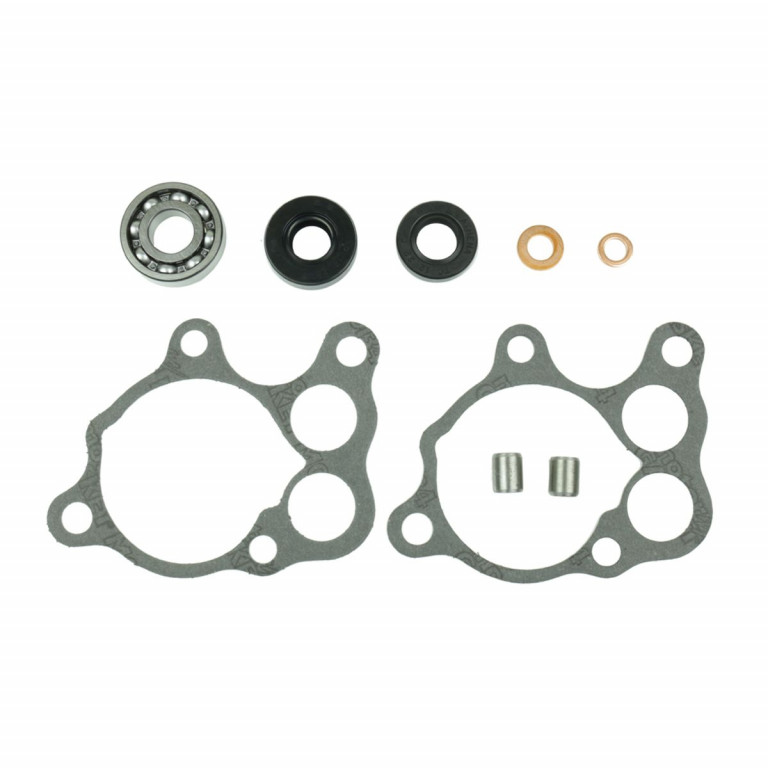 Set za popravak vodene pumpe ATHENA P400210348504 with bearings
