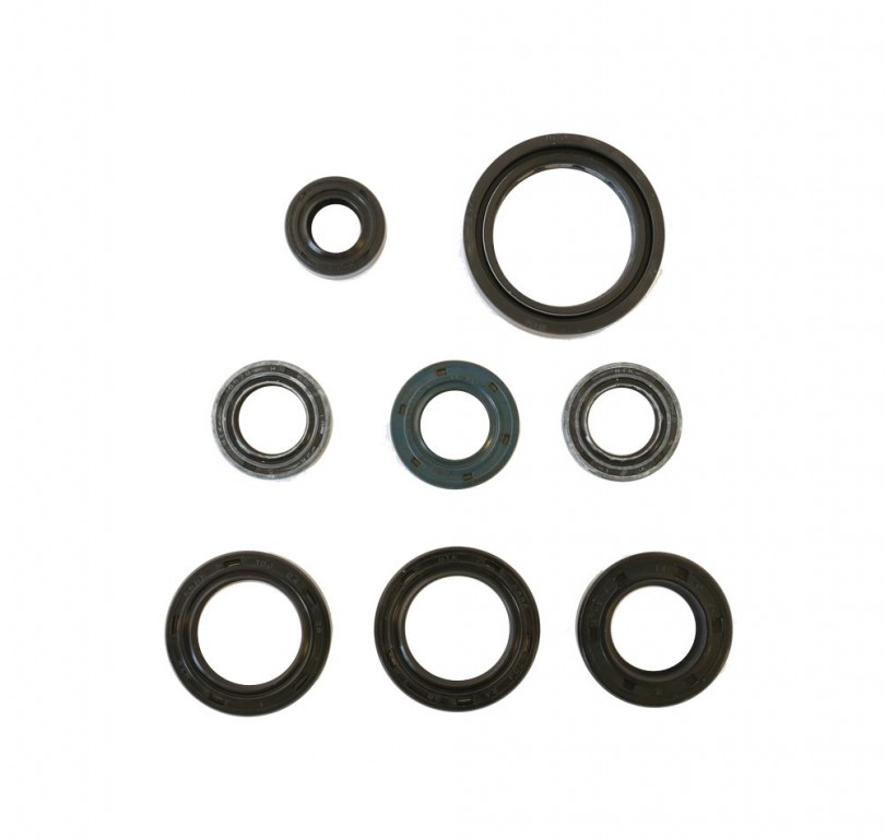 Set dihtunga za ulje za motor ATHENA P400210400100
