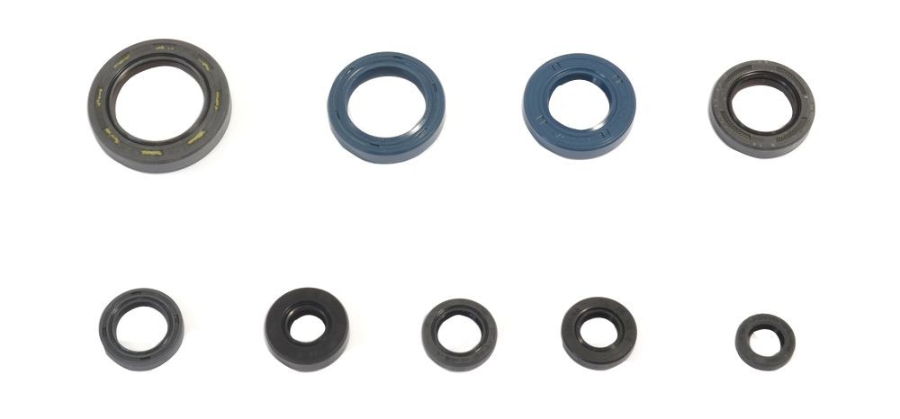 Set dihtunga za ulje za motor ATHENA P400210400124