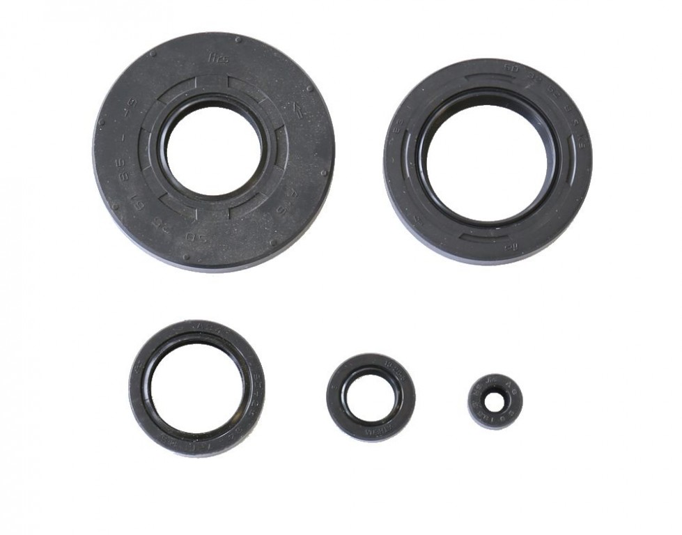 Set dihtunga za ulje za motor ATHENA P400210400172