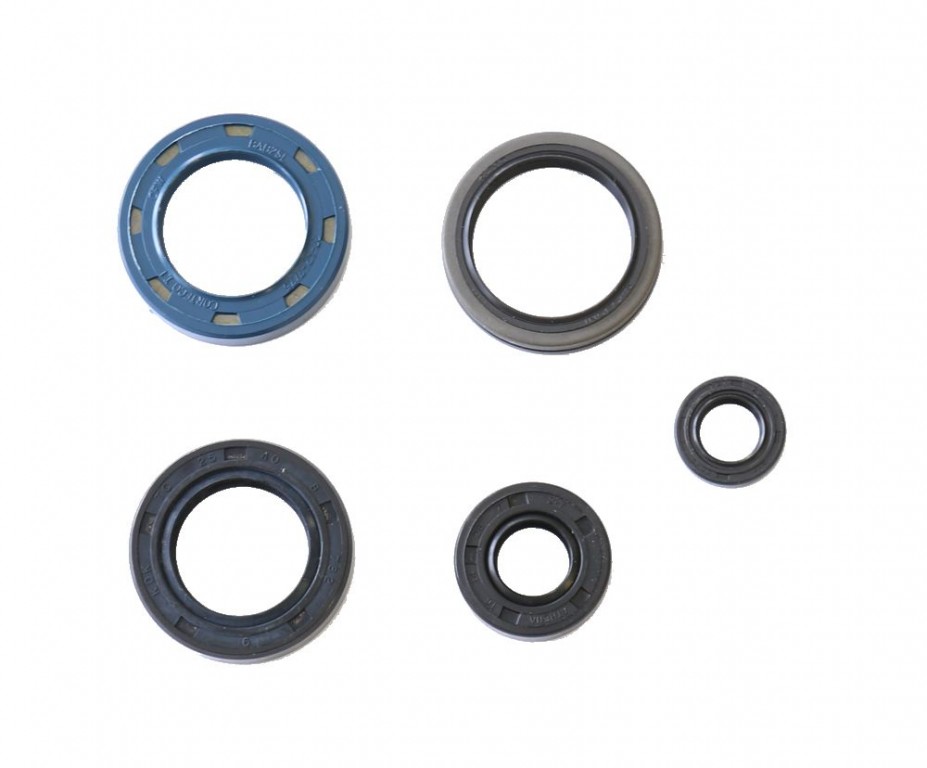 Set dihtunga za ulje za motor ATHENA P400210400180