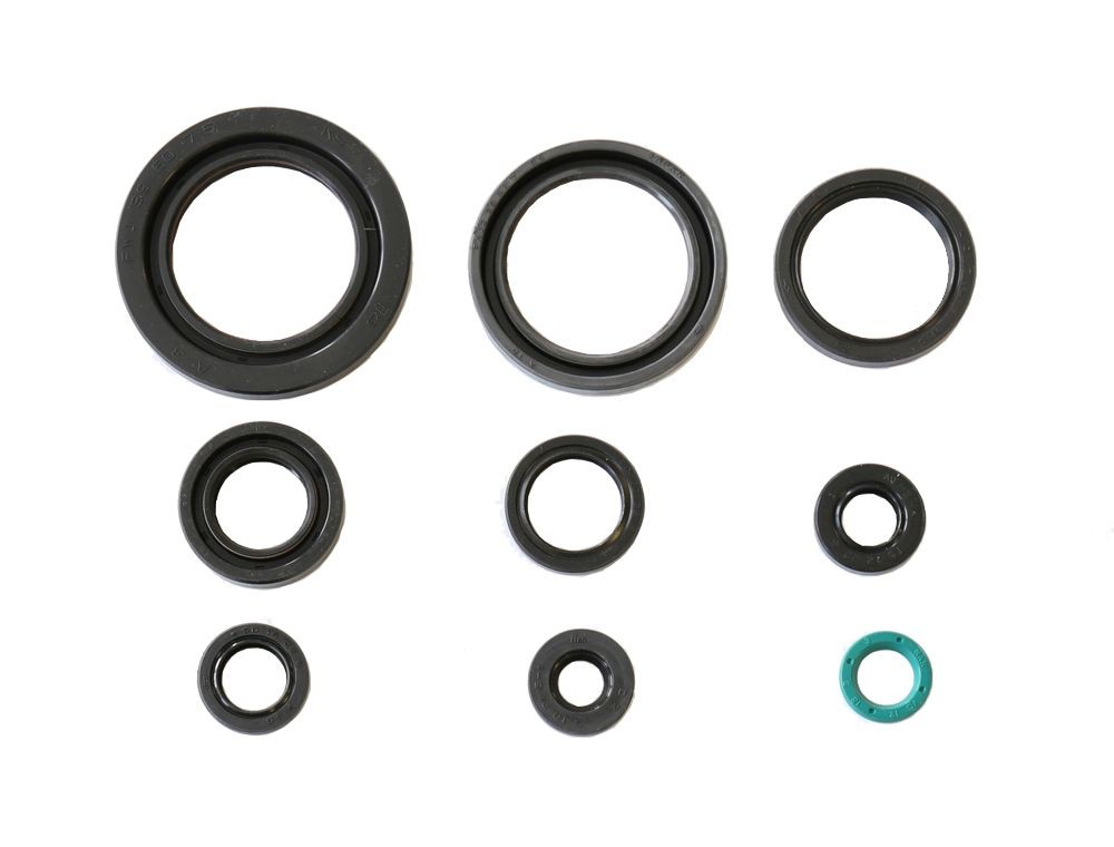 Set dihtunga za ulje za motor ATHENA P400210400197