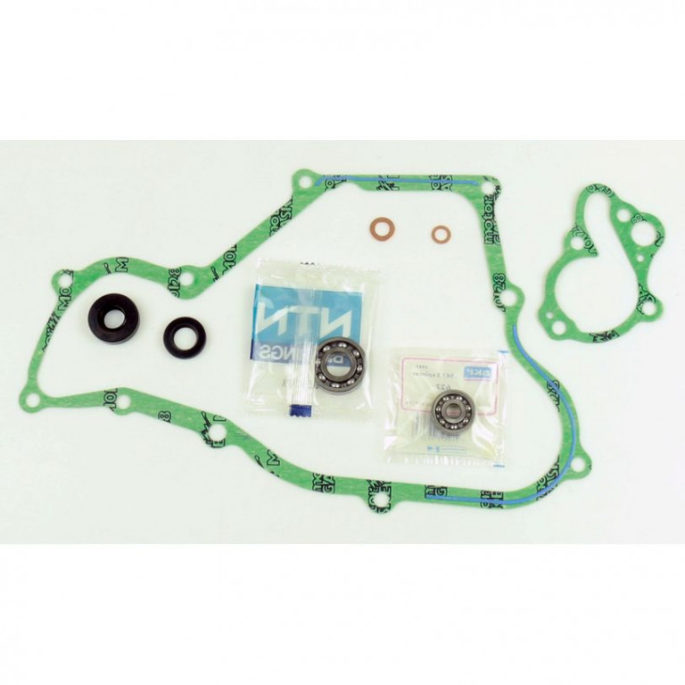 Set za popravak vodene pumpe ATHENA P400210475001 with bearings