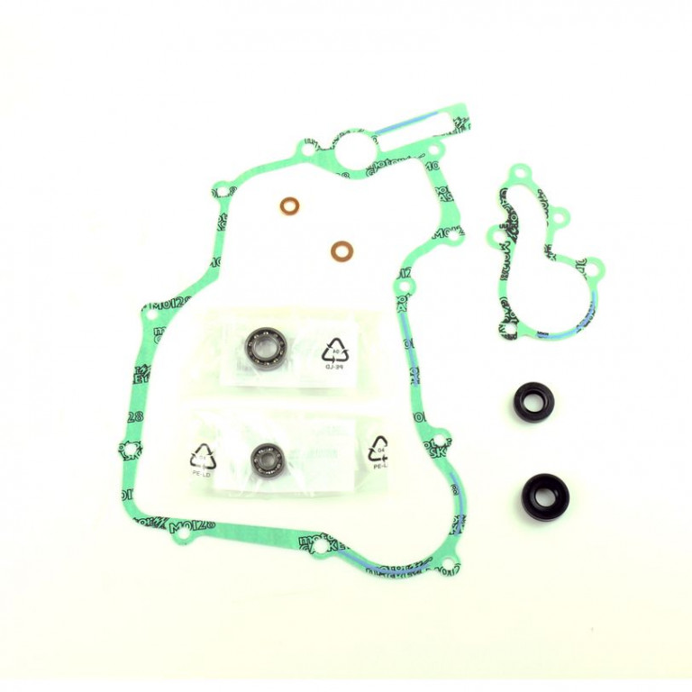 Set za popravak vodene pumpe ATHENA P400210475003 with bearings