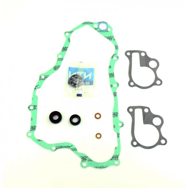 Set za popravak vodene pumpe ATHENA P400210475005 with bearings