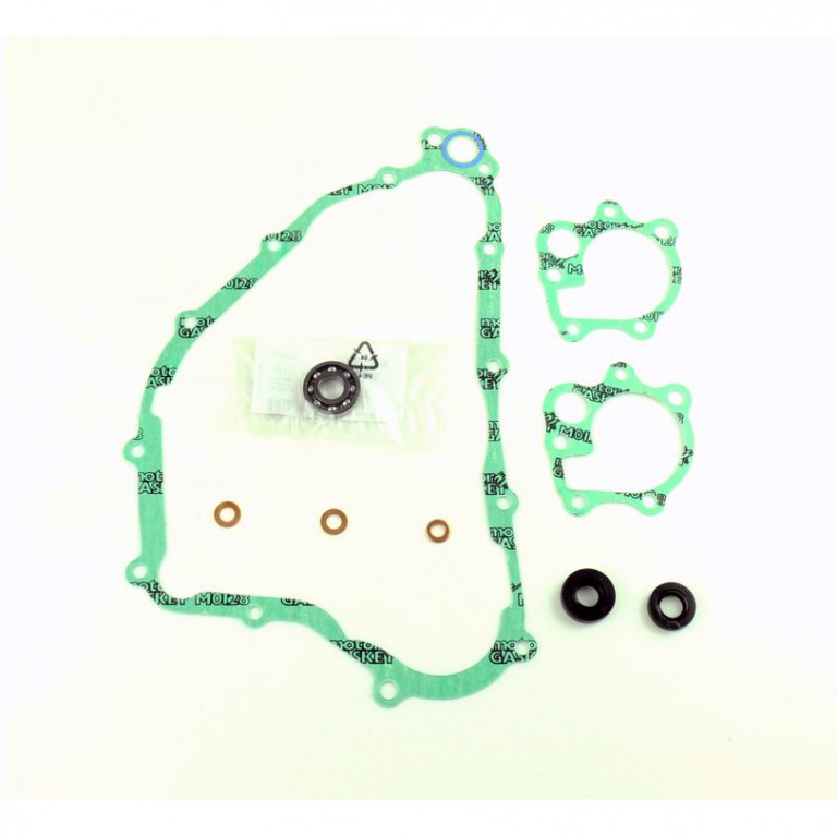 Set za popravak vodene pumpe ATHENA P400210475006 with bearings