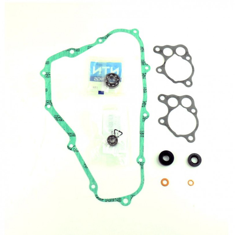 Set za popravak vodene pumpe ATHENA P400210475012 with bearings