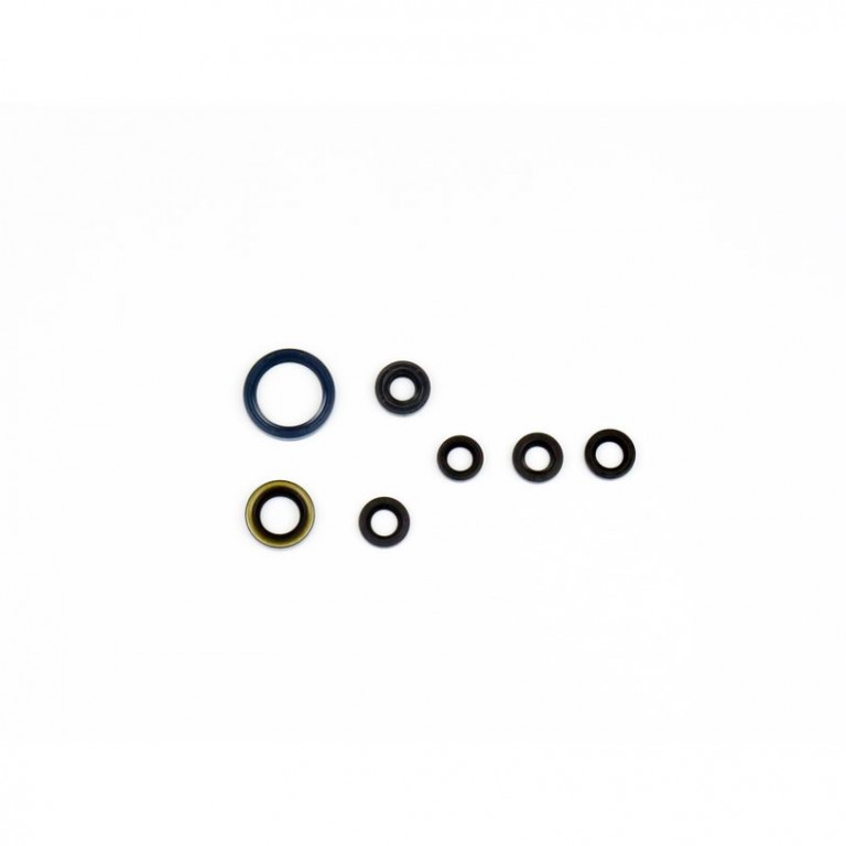 Set dihtunga za ulje za motor ATHENA P400250400066