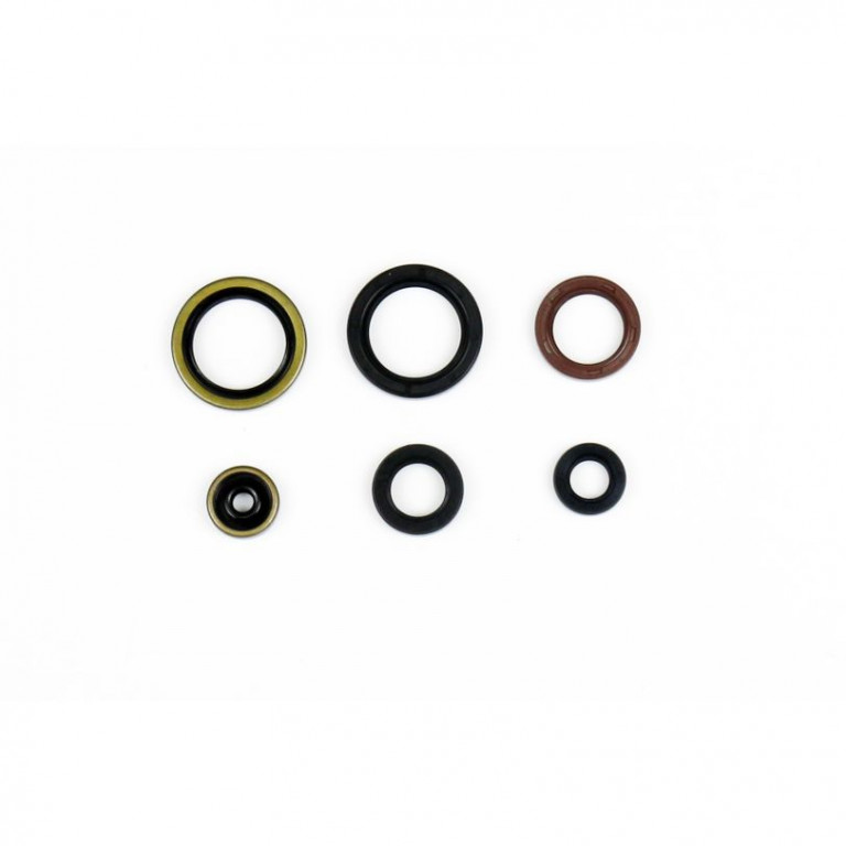 Set dihtunga za ulje za motor ATHENA P400270400077