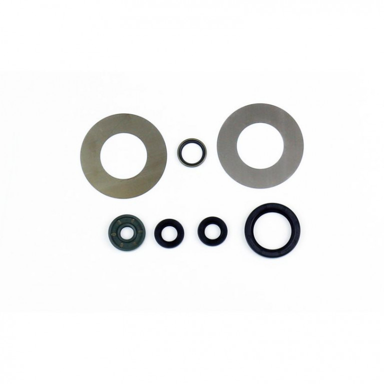 Set dihtunga za ulje za motor ATHENA P400270400081
