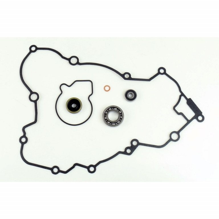 Set za popravak vodene pumpe ATHENA P400270475005 with bearings