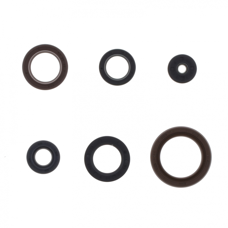 Set dihtunga za ulje za motor ATHENA P400290400060