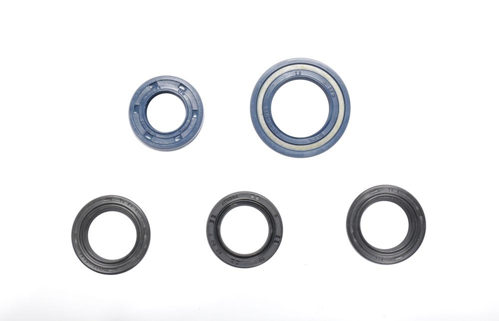 Set dihtunga za ulje za motor ATHENA P400420400060