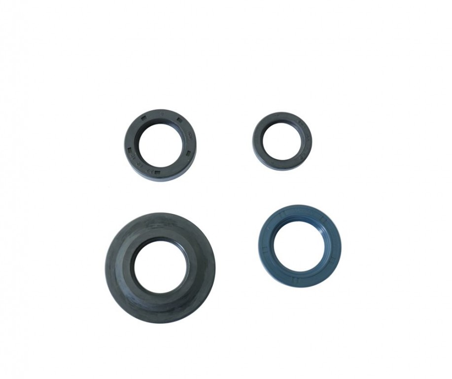 Set dihtunga za ulje za motor ATHENA P400480400270